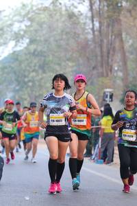 BIB: 10897, 10072, 11378
                            <button type="button" onclick="openModal(10409970)" class="btn btn-primary btn-sm float-right btn-popup" data-toggle="modal" data-target=".modal-high-quality">
                        <i class="fas fa-shopping-cart"></i> Add to Cart
                    </button>
                                            <button type="button" onclick="isThisMe(10409970, true)" class="btn btn-success btn-sm float-right btn-popup btn-isme hidden" data-toggle="tooltip" data-placement="bottom" title="นี่คือรูปของคุณใช่ไหม คลิกที่นี่เพื่อเอาเข้าอัลบั้ม">
                        <i class="fas fa-plus"></i> Add to album
                    </button>
                    <button type="button" onclick="isThisMe(10409970, false)" class="btn btn-warning btn-sm float-right btn-popup btn-isnotme hidden">
                        <i class="fas fa-ban"></i> Remove from album
                    </button>
